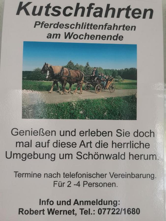 Ferienwohnung Schoene Wohnung 2D-Gebaeude Mit Mini-Garten Schönwalde Kültér fotó